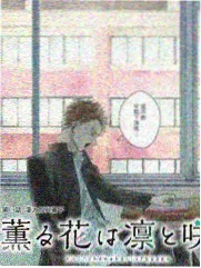 极品影视奖项雷达配图：纪录片奖项分布示意